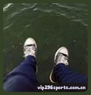 赵磊